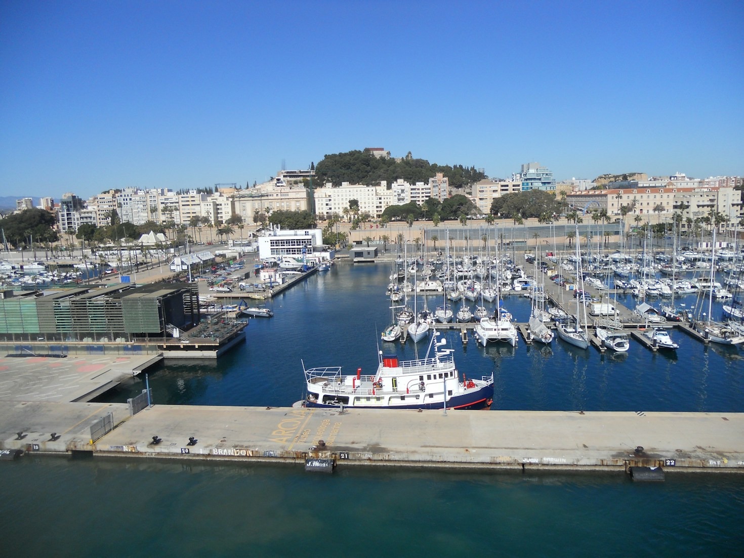 Strategie concrete per proteggere gli ecosistemi marini laziali